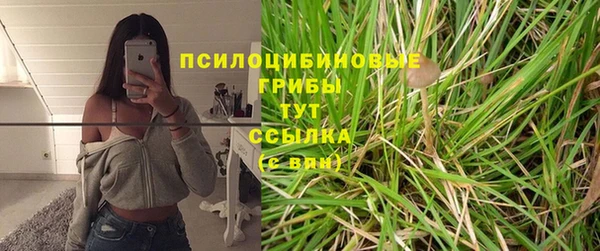 трава Арсеньев