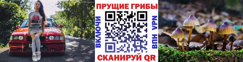 Галлюциногенные грибы прущие грибы  блэк спрут ссылки  Ухта 